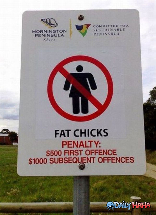 Fat Chicks funny picture