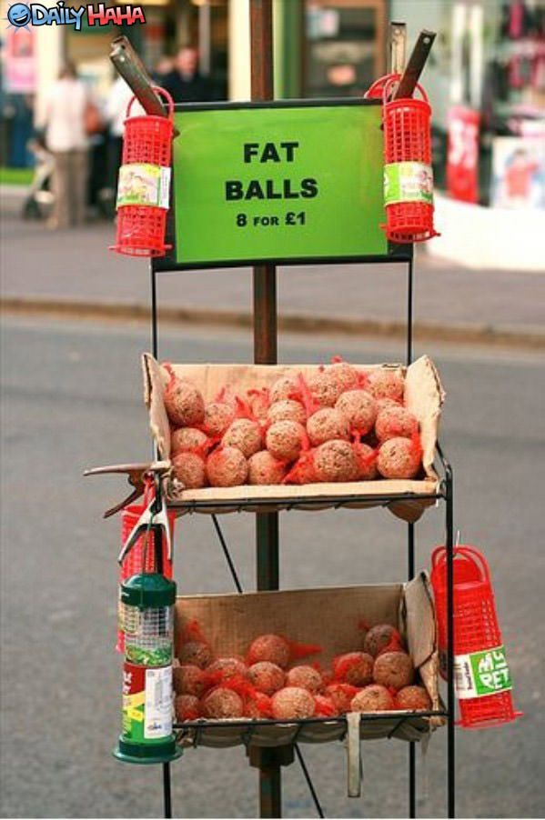 Fat Balls Sign