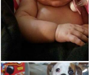 fathers stacking cherios funny picture