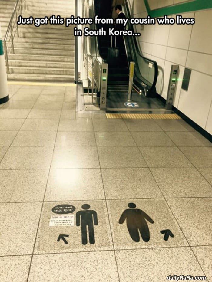 fatties that way funny picture