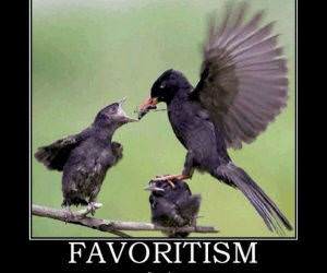 Favoritism funny picture