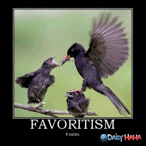 Favoritism funny picture