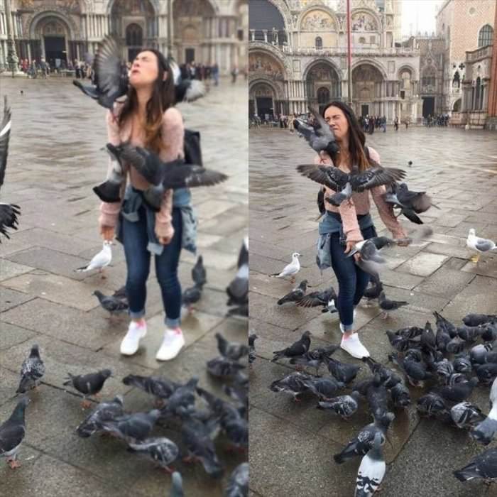 feeding the birds