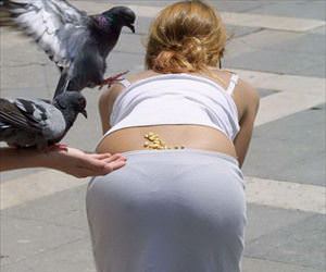 feeding the birds ... 2