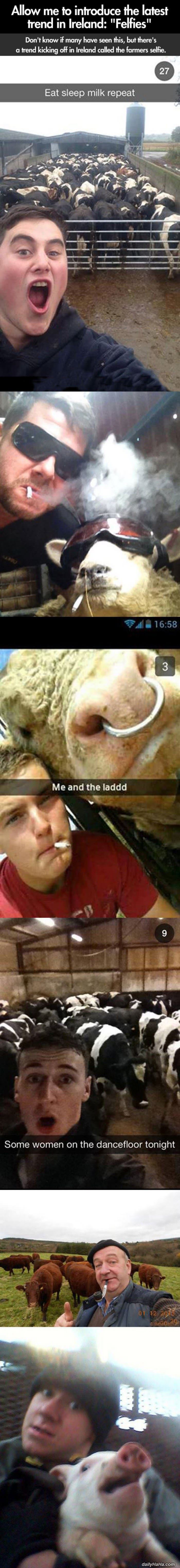 felfies funny picture