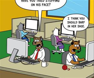 feline support center funny picture