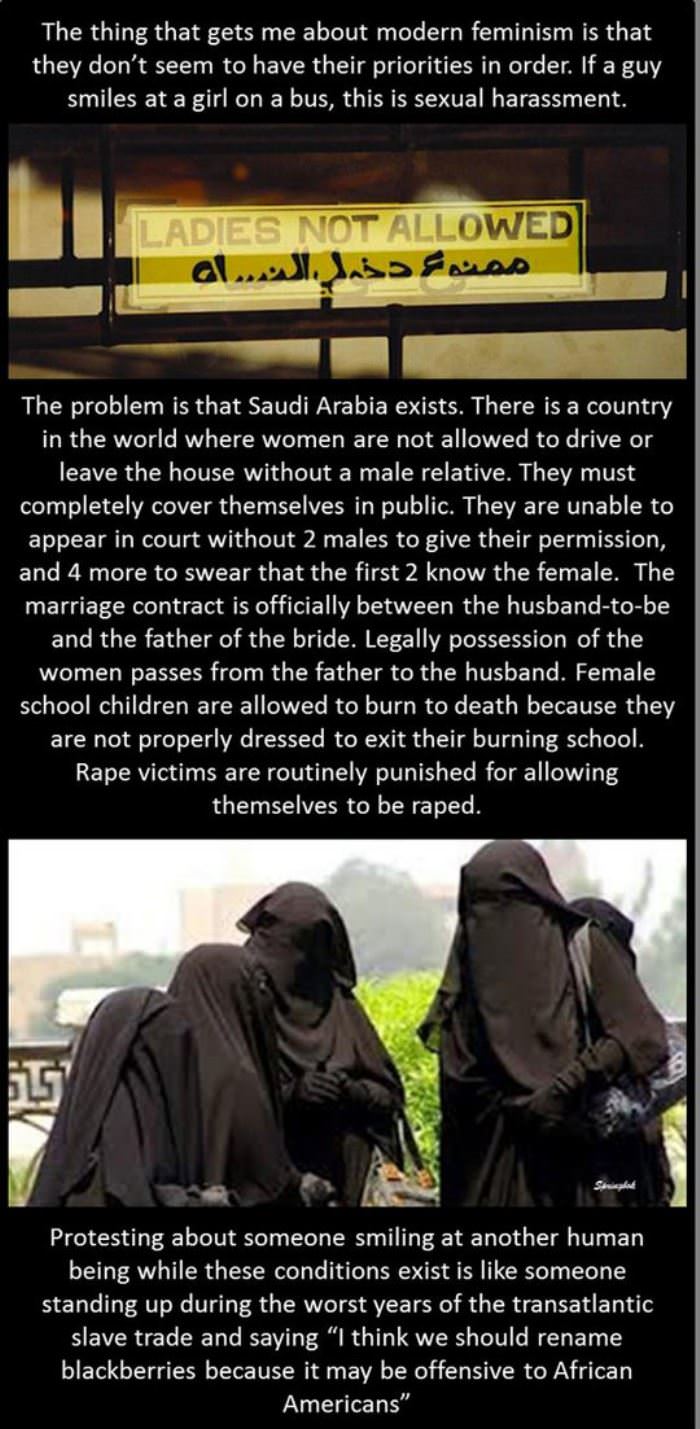 feminists funny picture