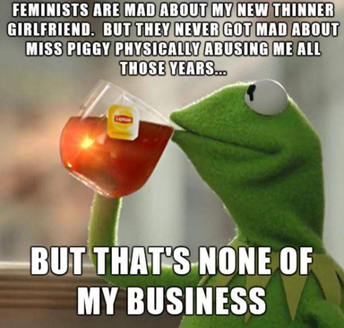 feminists are mad funny picture