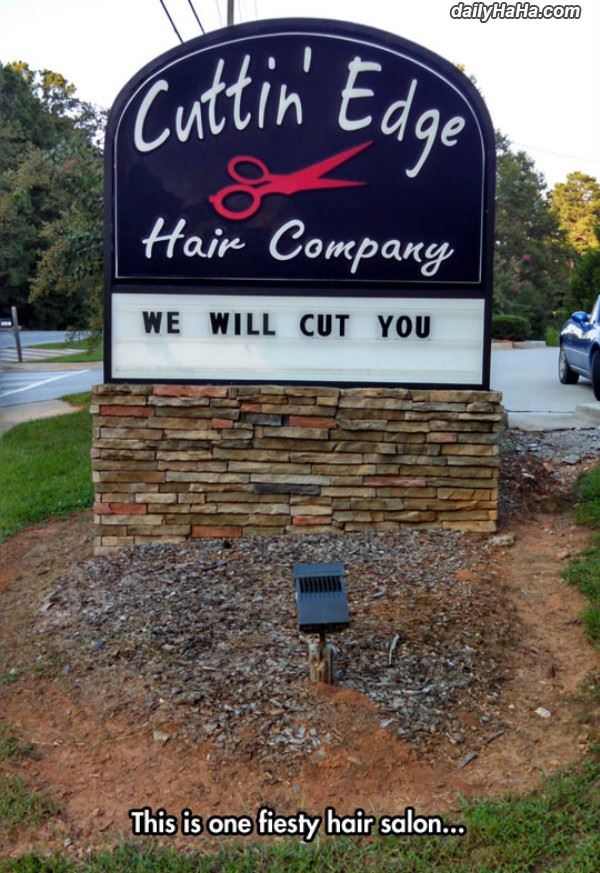 fiesty hair salon funny picture