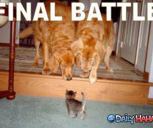 Final Battle funny picture