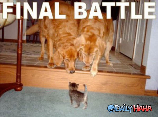 Final Battle funny picture