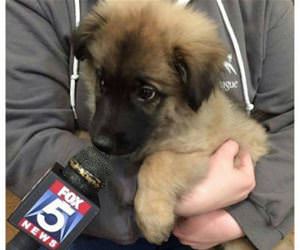 finally one that matters funny picture