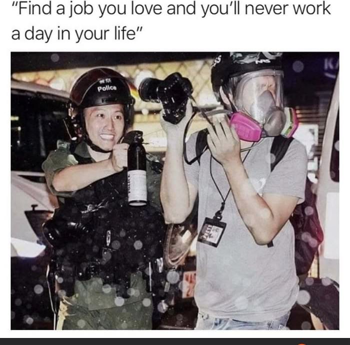 find a job you love