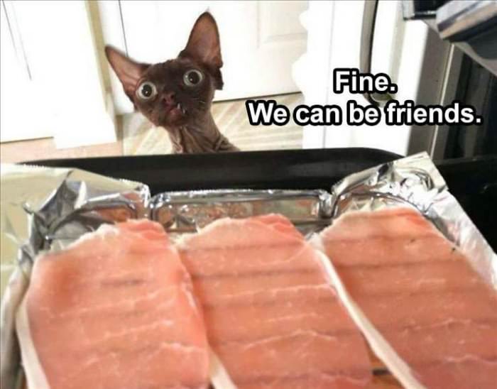 find we can be friends