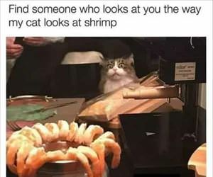 find yourself someone