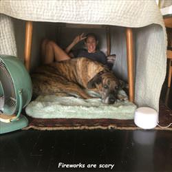 fireworks are scary
