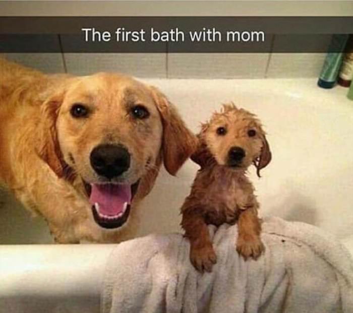 first bath with my mom