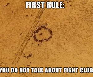 The First Rule funny picture