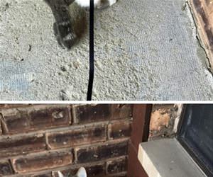 first time out funny picture