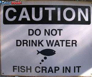 Fish Crap Water