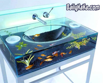 Cool Fish Tank