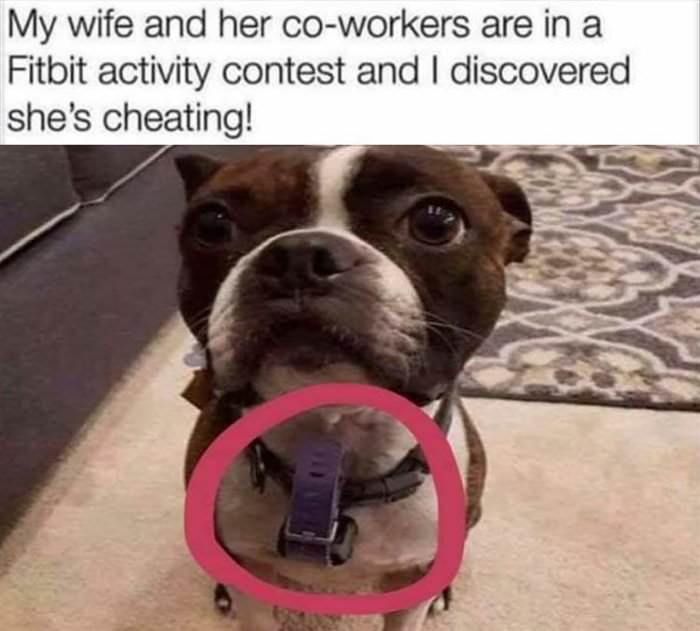 fitbit contest ... 2