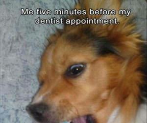 five minutes before my dentist appointment