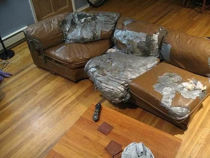 fixed the couch