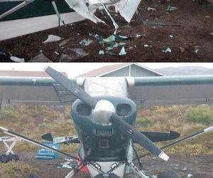 Fixes Anything funny picture