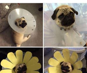 fixing a bad situation funny picture