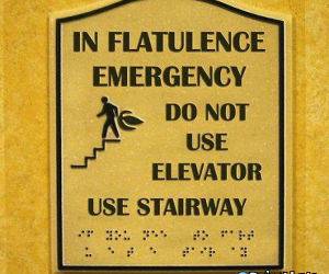 Flatulence Emergency Sign