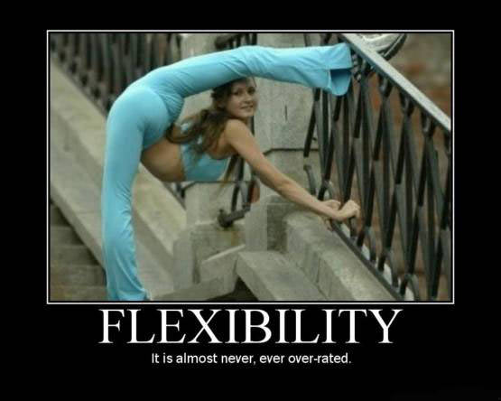 Flexibility Never Over-Rated