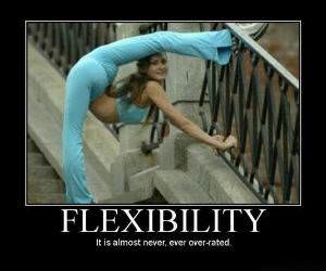 Flexibility Never Over-Rated
