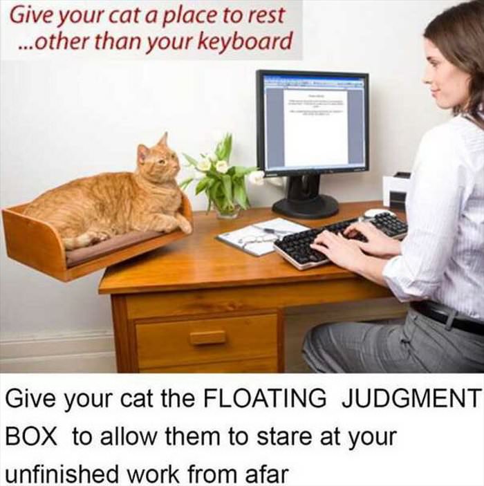 floating judgment box