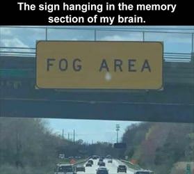 fog area