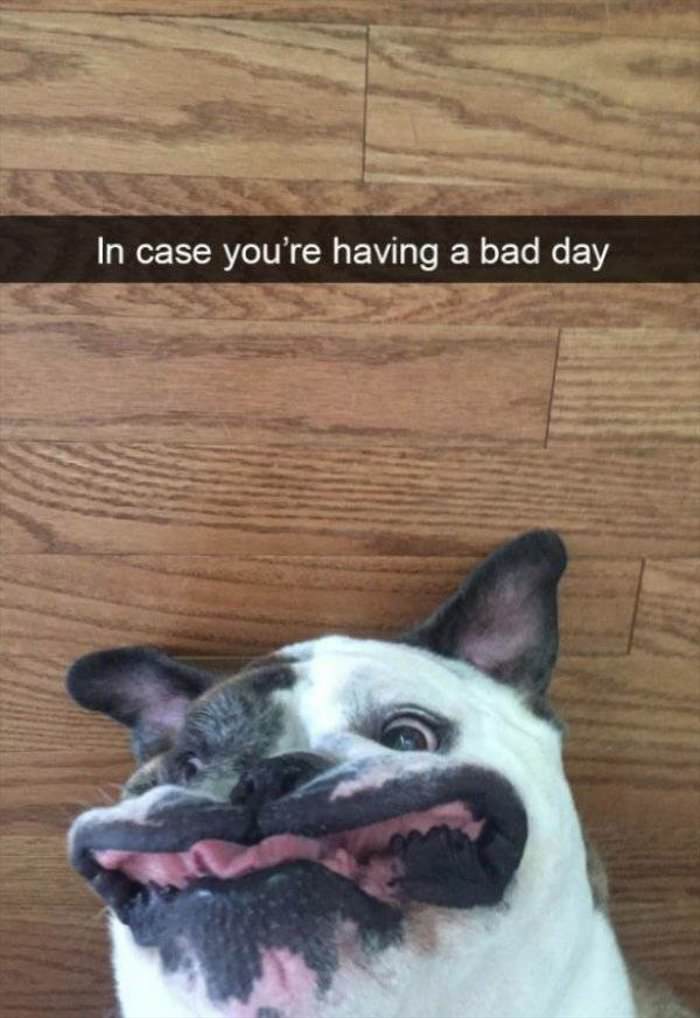 for a bad day