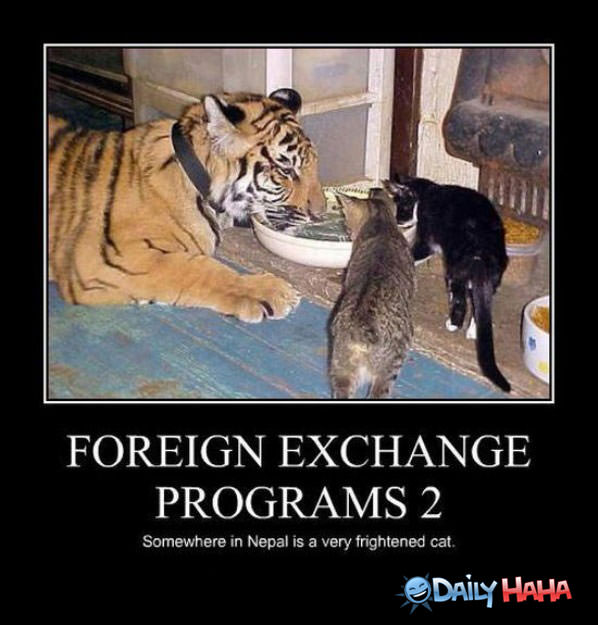 Foreign Exchange Programs funny picture