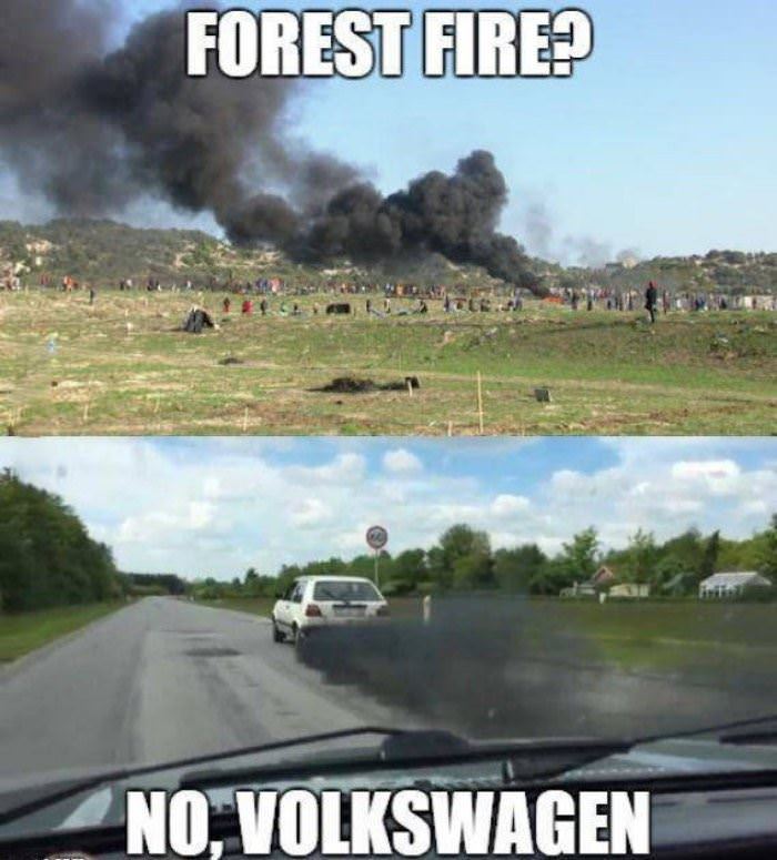 forest fire nope funny picture