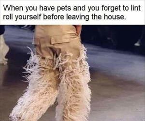 forgot the lint roller