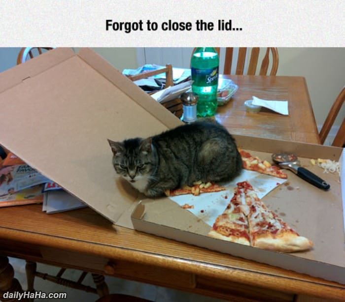 forgot to close the lid funny picture
