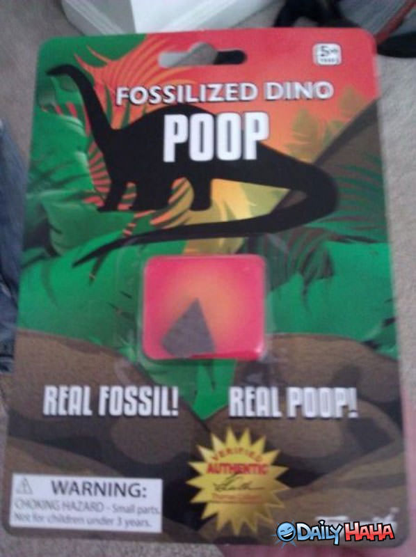 Fossilized Poop funny picture