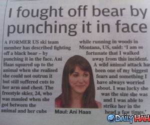 Bear Fight funny picture