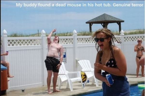 Found A Mouse funny picture
