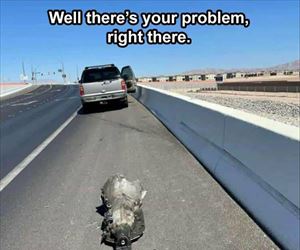 found the problem ... 2