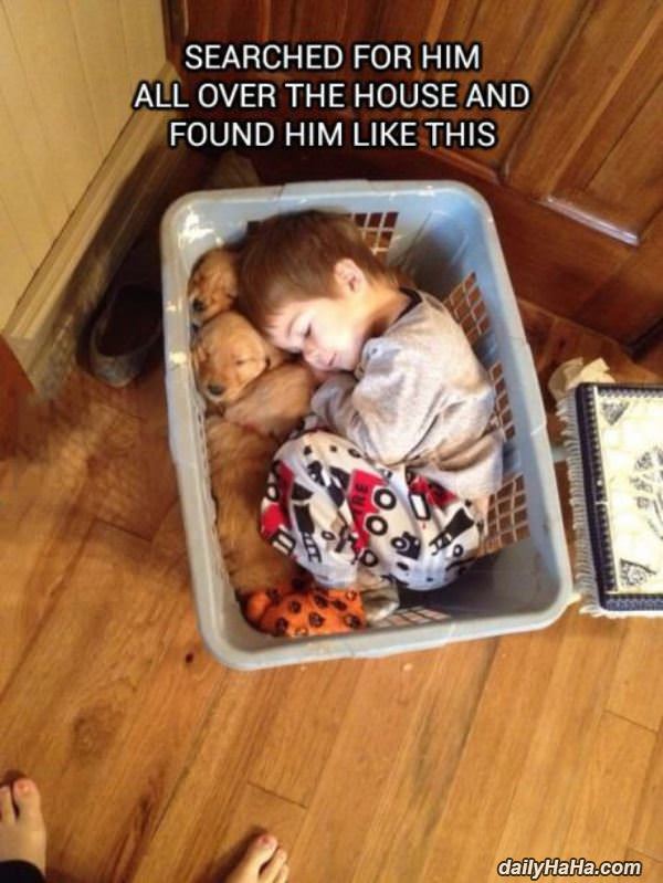 found like this funny picture