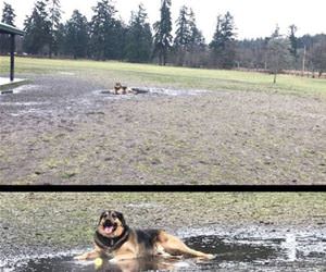 found where i want to lay funny picture