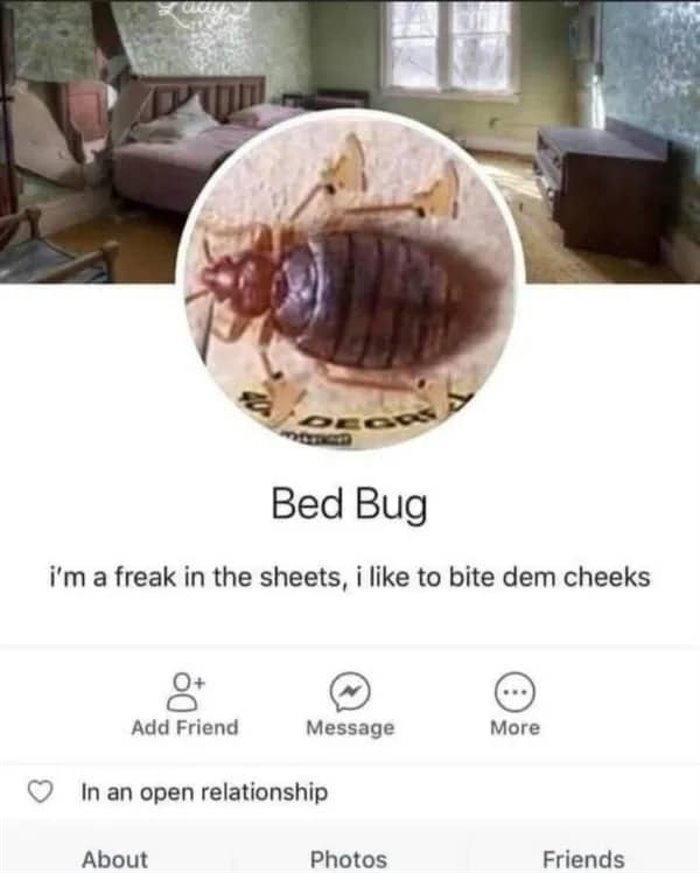 freak in the sheets