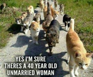 fred are you sure about that funny picture