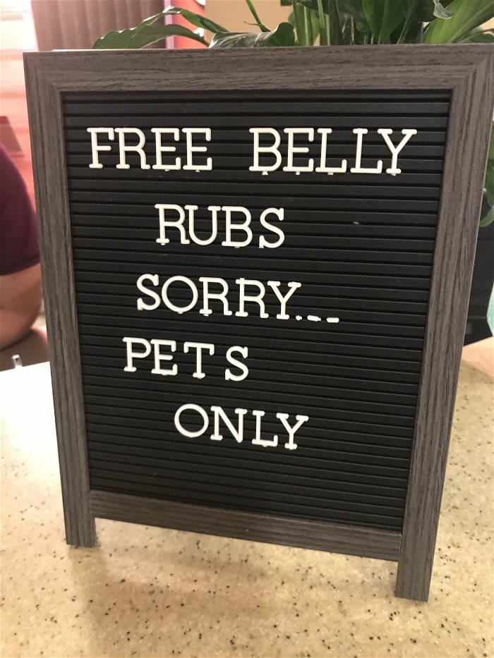free belly rubs