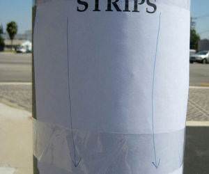 Free Chicken Strips funny picture